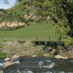 Cardrona River Deer Paddock