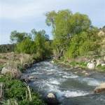 Cardrona River