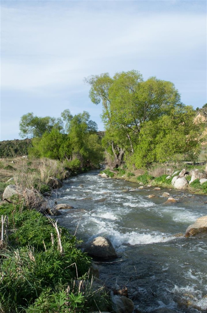 Cardrona River